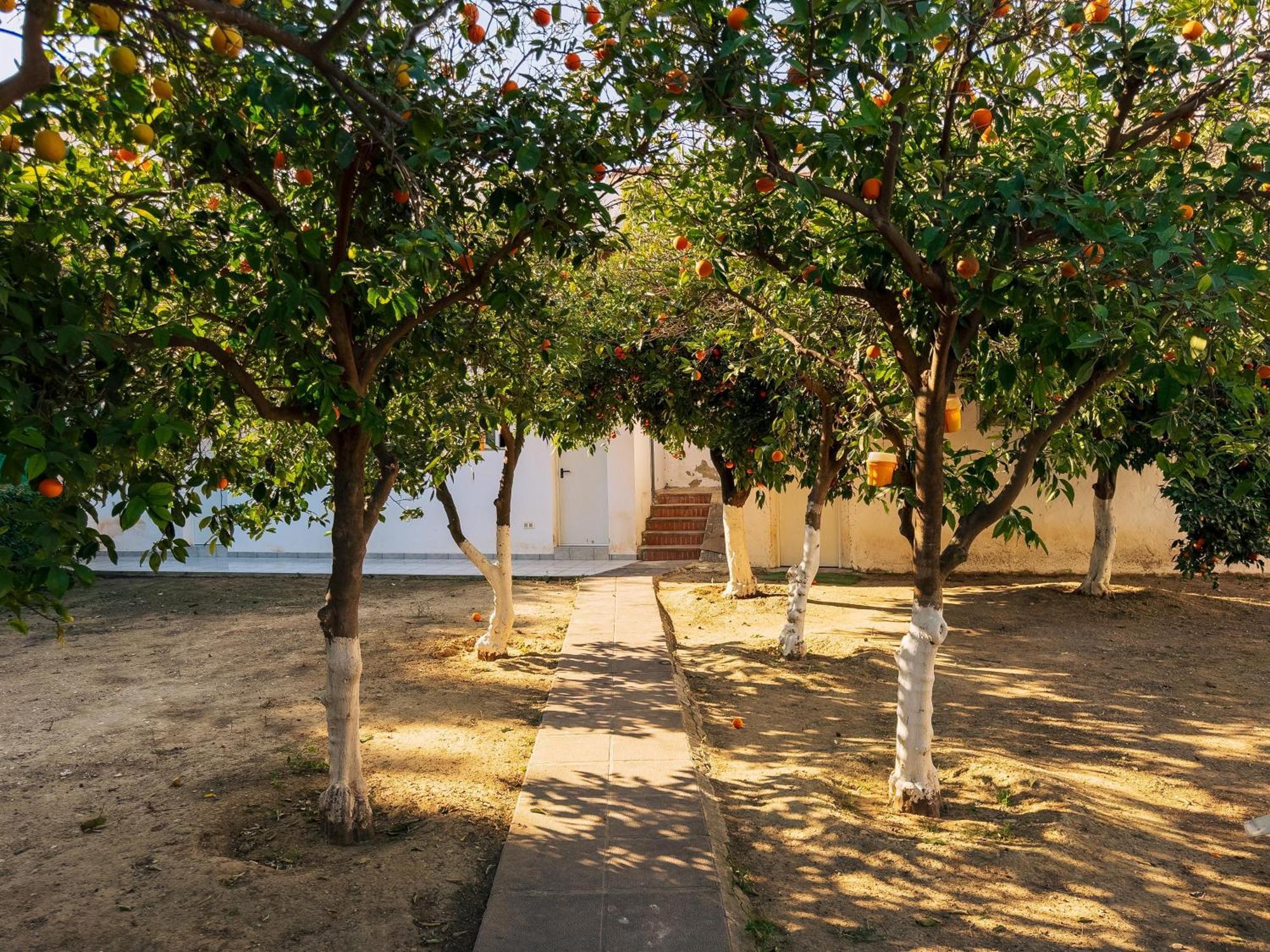 Charming Country House Torremolinos Kültér fotó