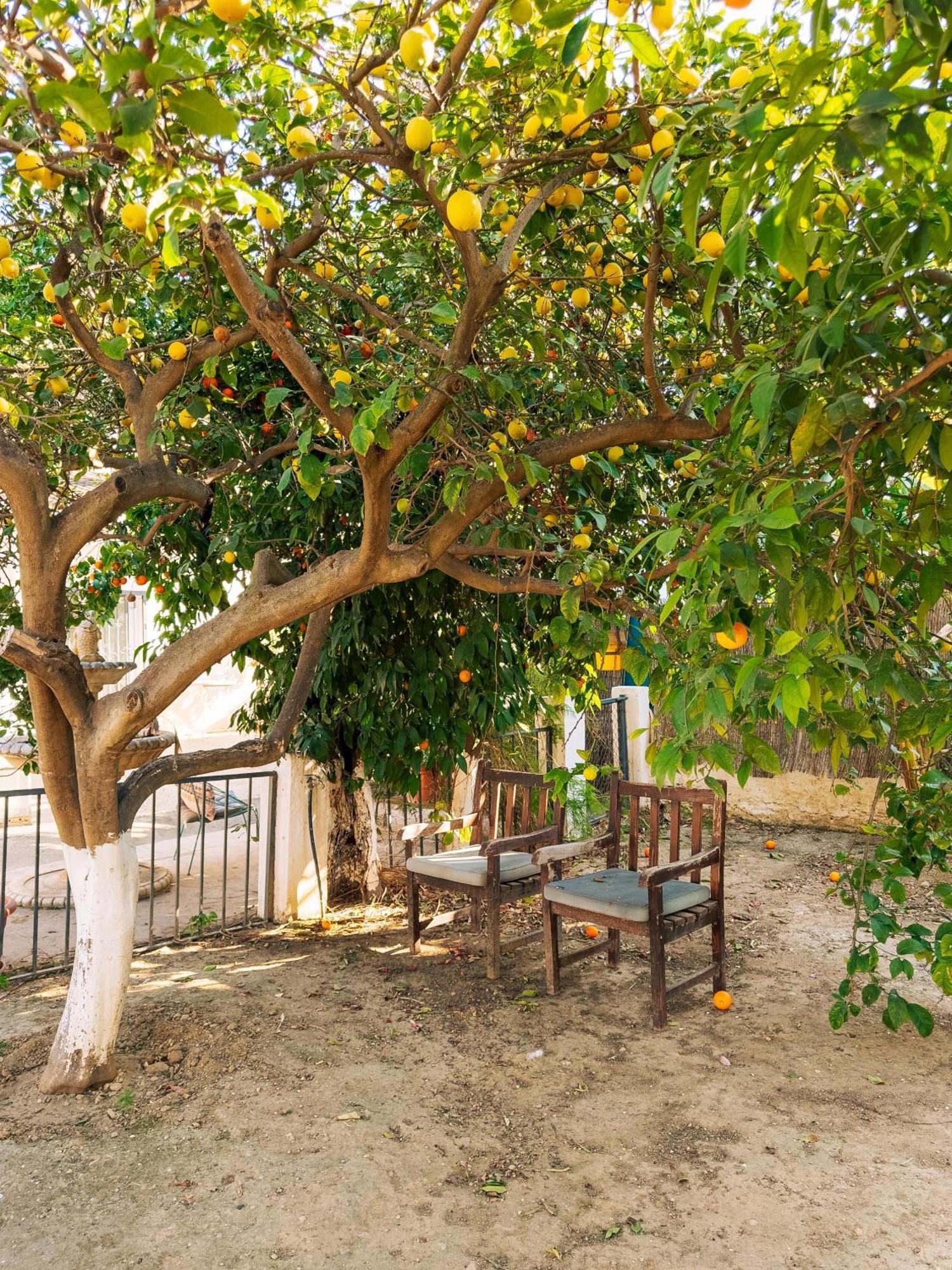 Charming Country House Torremolinos Kültér fotó
